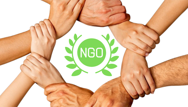 NGO team using laptops for digital fundraising campaign